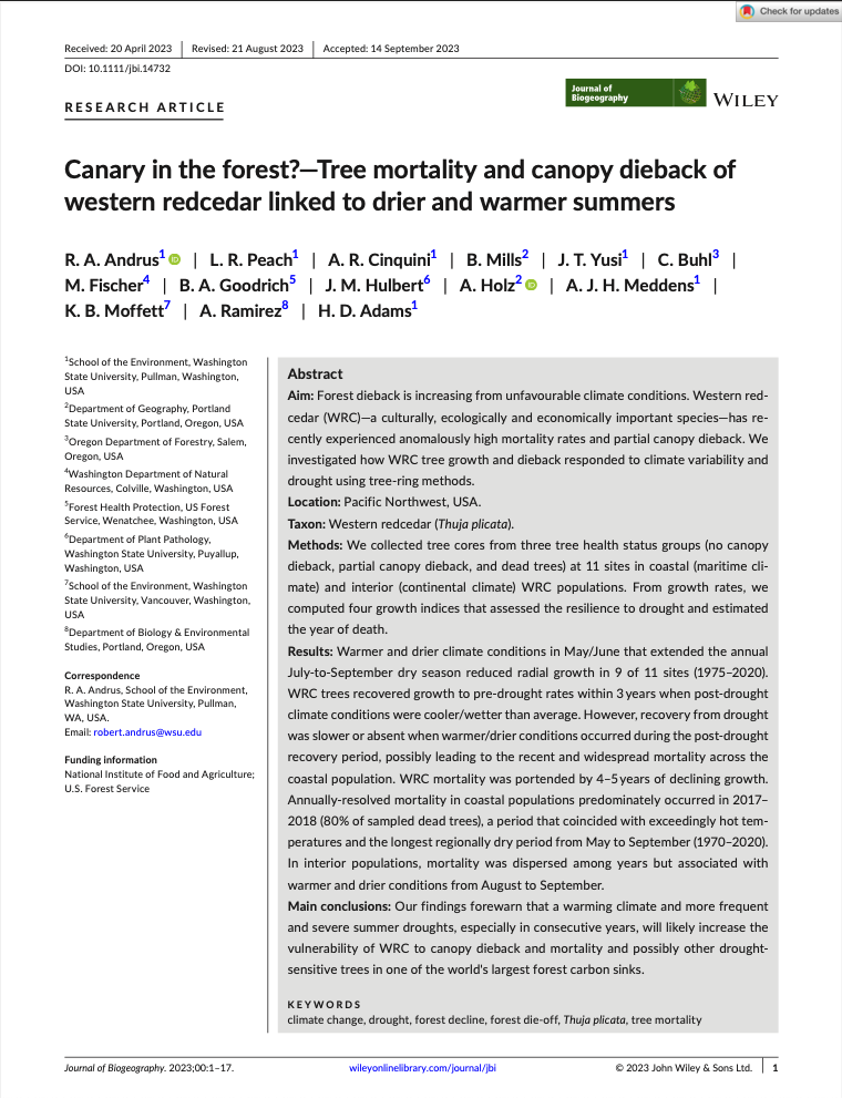 Canary in the Forest Paper